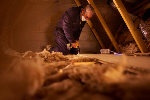 Best Residential Insulation in Malabar, FL